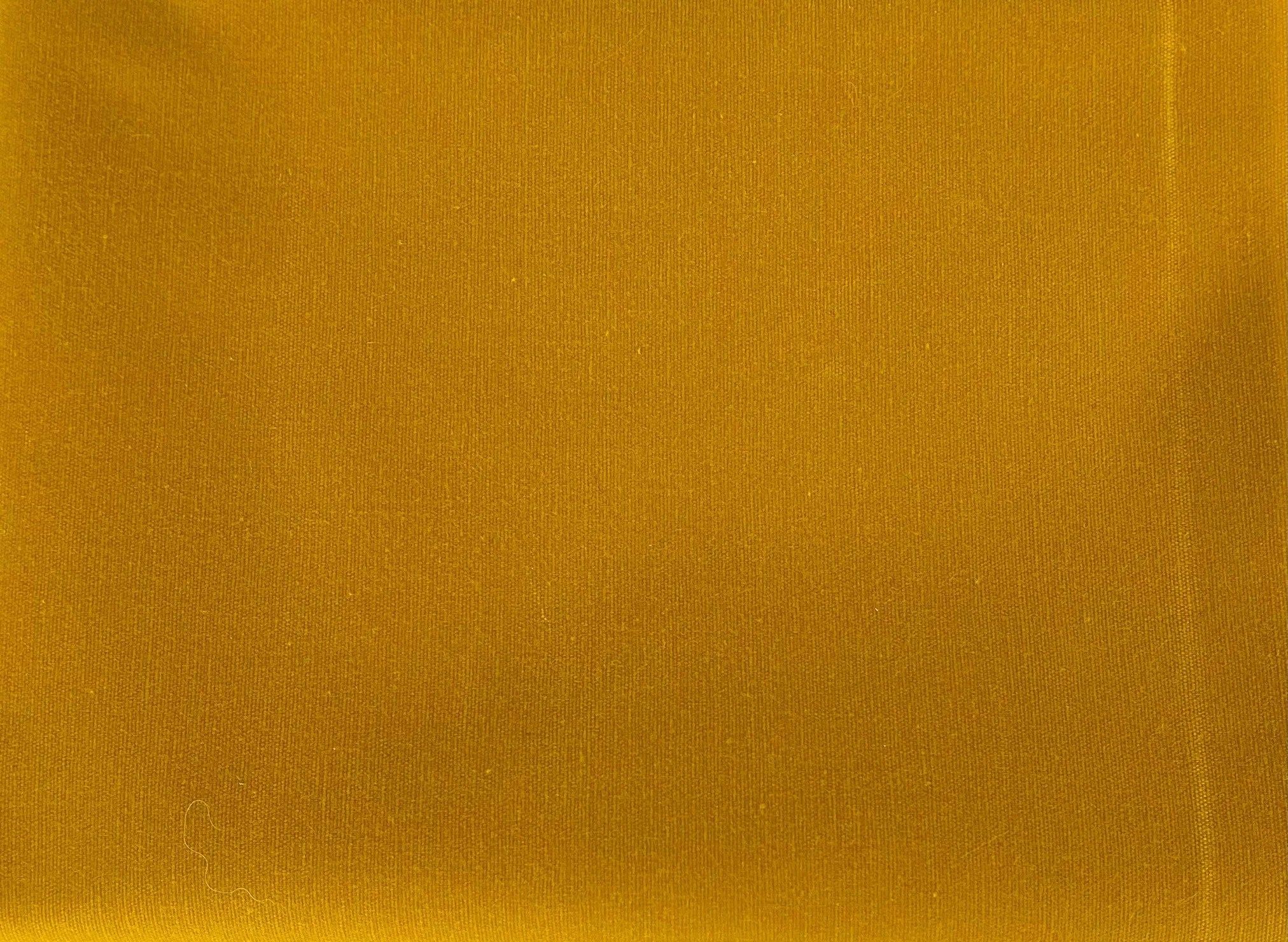 Waxed Canvas - Cotton Duck 10oz - Lemon - Curry - Big Duck Canvas - WAX-1010-LC