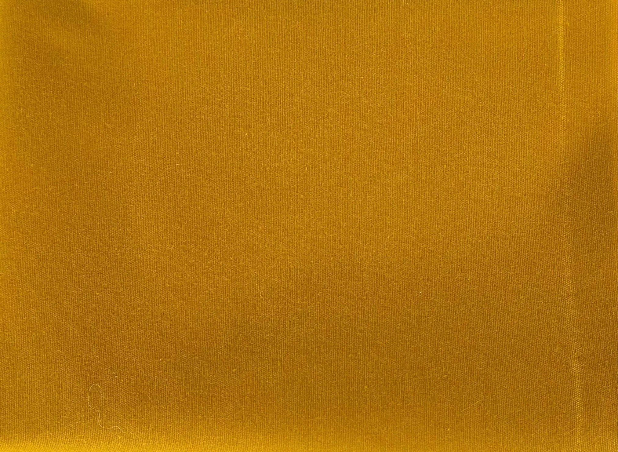 Waxed Canvas - Cotton Duck 10oz - Lemon - Curry - Big Duck Canvas - WAX-1010-LC