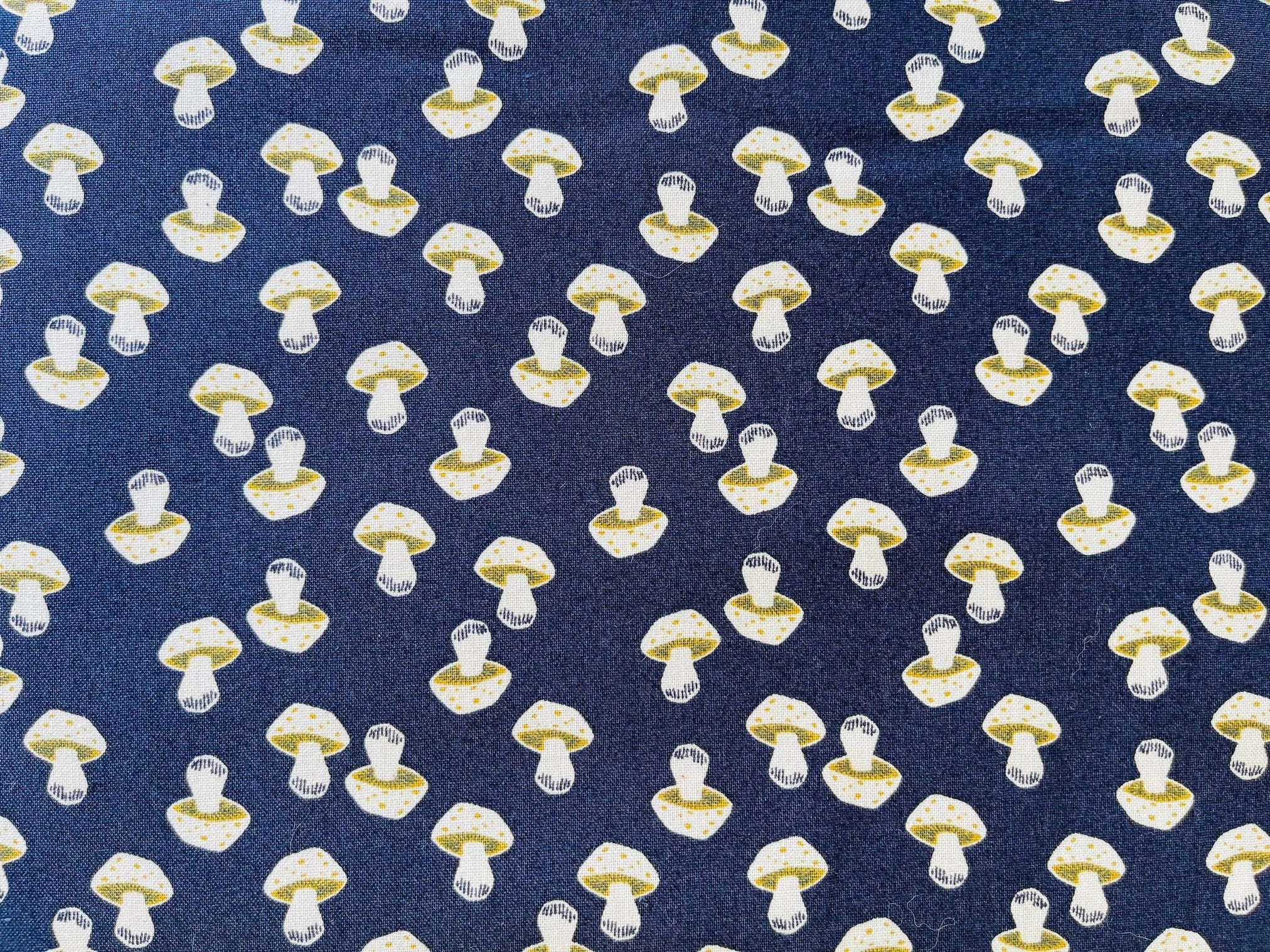 In The Woods -Mushroom-Dark Slate Unbleached Fabric- Loes Van Oosten - Cotton + Steel - RJR Fabric - Quilting Cotton Fabric - LV202-DS3U