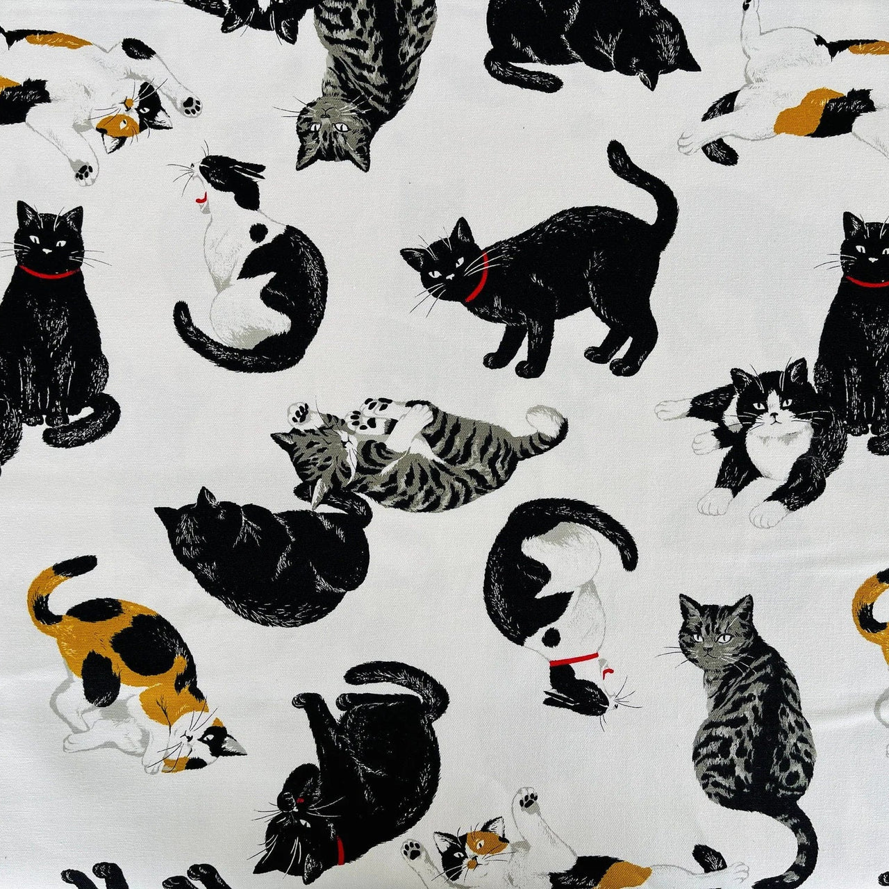 Cat - Black Cat Cotton Fabric - Cosmo - Japanese Sheeting Fabric - AP-35406-2A