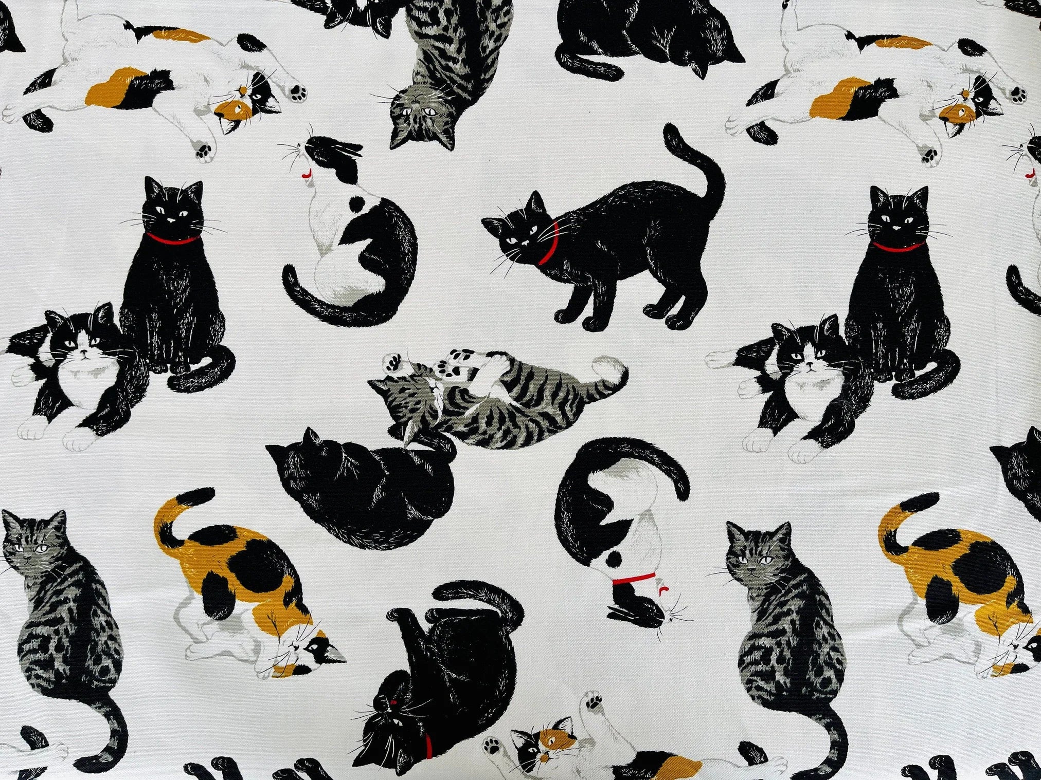 Cat - Black Cat Cotton Fabric - Cosmo - Japanese Sheeting Fabric - AP-35406-2A