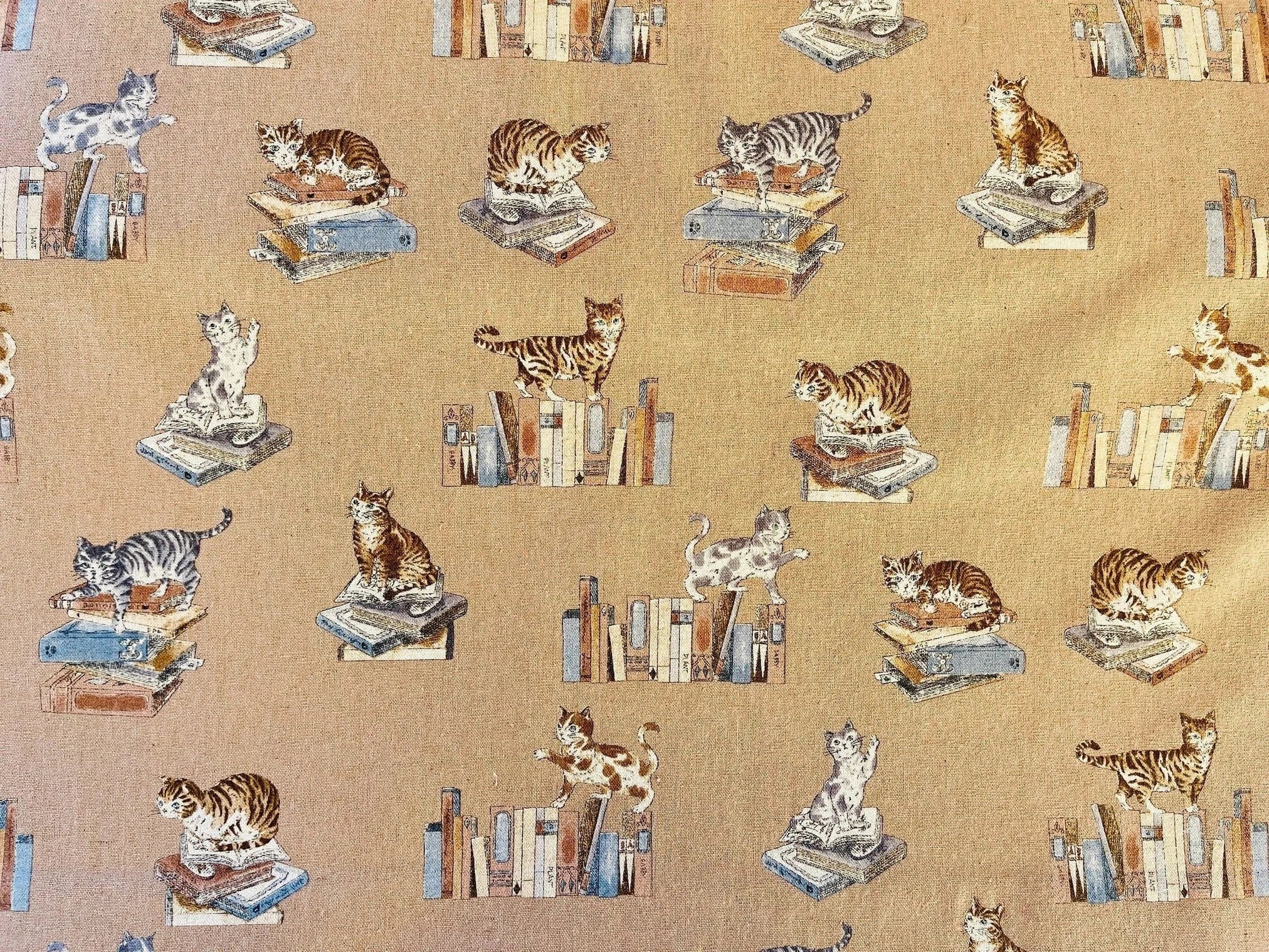 Cat - Cat Fabric - Cats and Books - Japanese Canvas Fabric