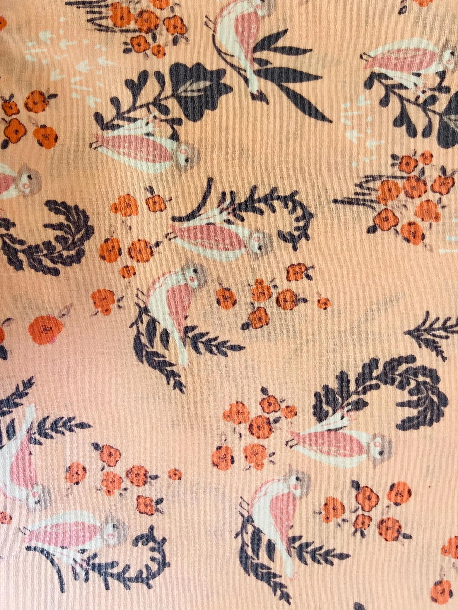 Hello Ollie-Bonnie Christine - Art Gallery Fabrics-Organic Cotton