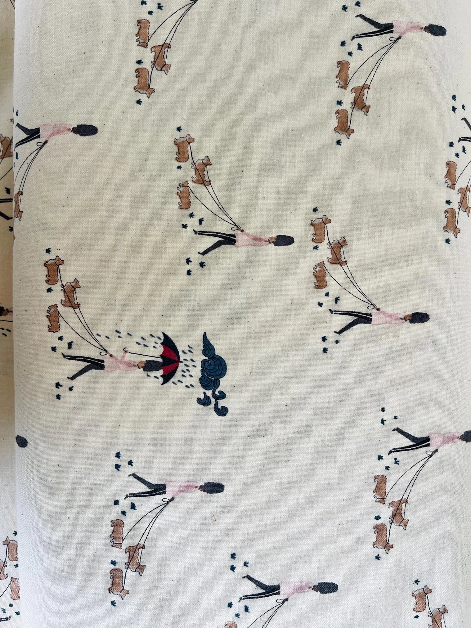 London Town-Reign Reign Go Away-White Unbleached Fabric-Sara Mulvanny-Cotton+Steel-SY103-WH3U