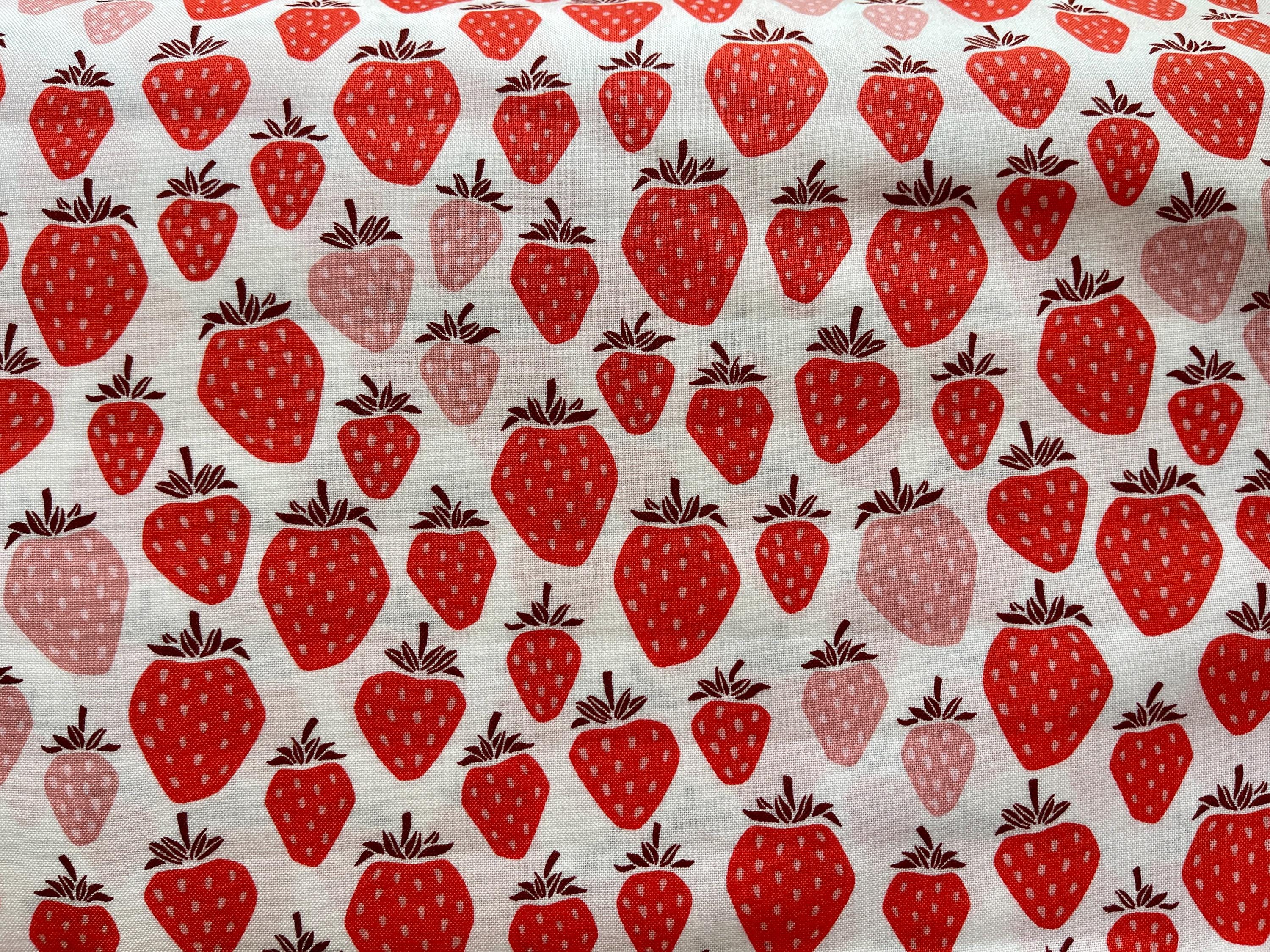 Under the Apple Tree-Queen of Berries-Pink Berry Fabric-Loes Van Oosten-Cotton + Steel Fabric