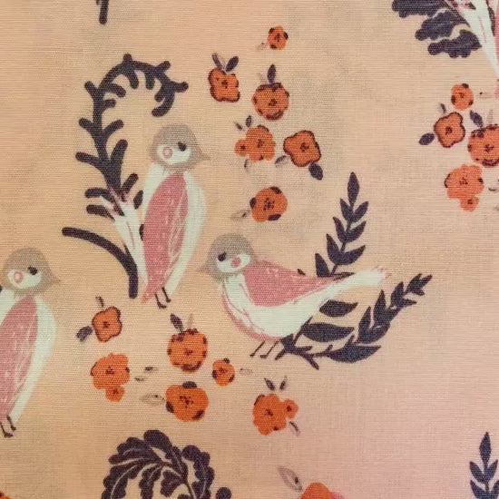Feathered Fellow Blush - Hello Ollie - Bonnie Christine for Art Gallery Fabrics - Organic Quilting Cotton -  HOL-36652