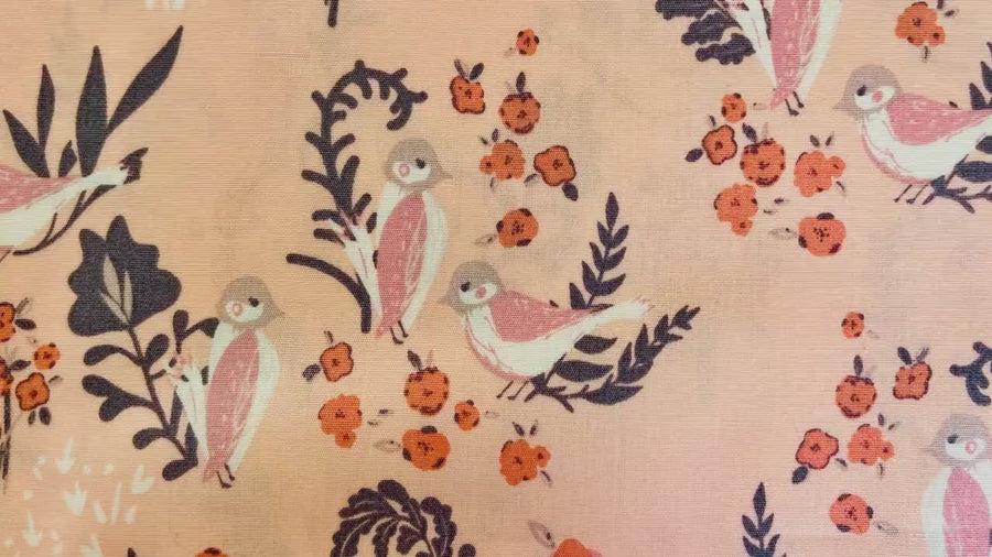 Feathered Fellow Blush - Hello Ollie - Bonnie Christine for Art Gallery Fabrics - Organic Quilting Cotton -  HOL-36652
