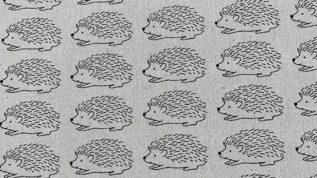 Porcupine - Hedgehog  Fabric - Robert Kaufman -Sevenberry - C5620120