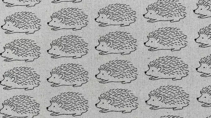 Porcupine - Hedgehog  Fabric - Robert Kaufman -Sevenberry - C5620120