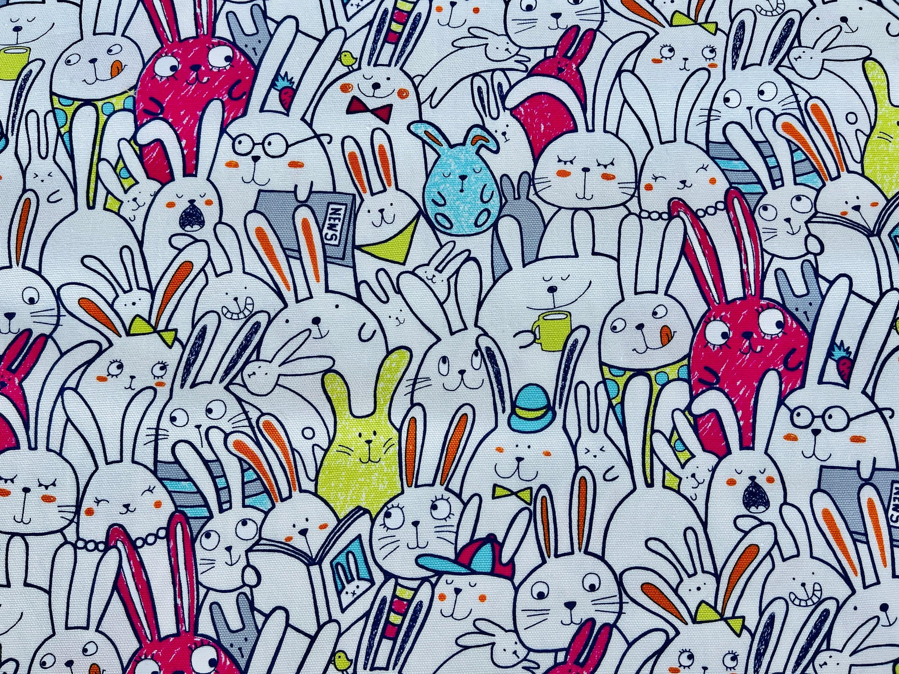 Rabbit - Rabbit Oxford Fabric - Japanese Fabric - Pink Blue Green - SK-7100